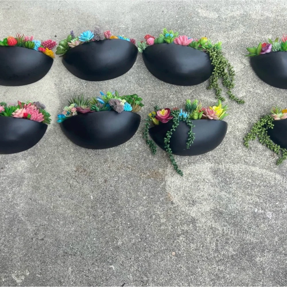 Succulent Arrangement in Black ceramic Bowl for wall